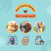 Pet Care (1)